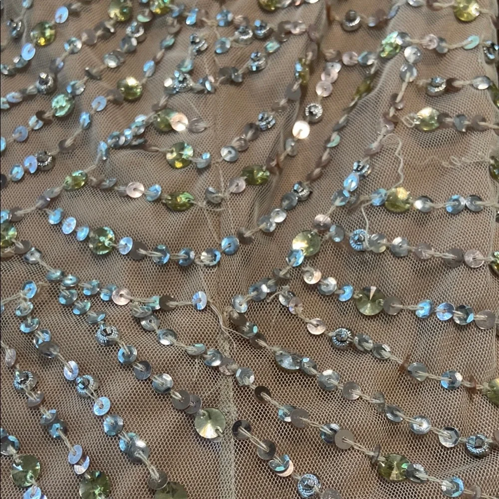 Elegant Sequined Dress in Champagne Gold - Picture 10 of 14